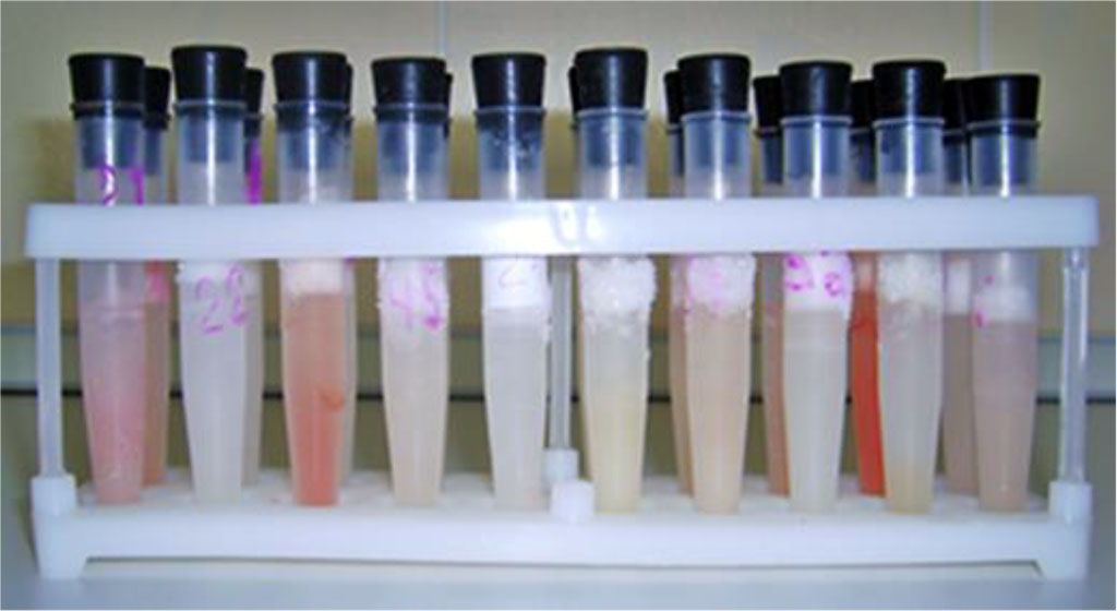 Fig. 1. Frozen oral fluid