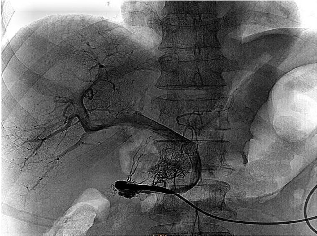 Figure 2 Control portography. The architecture of the portal system is visualized.