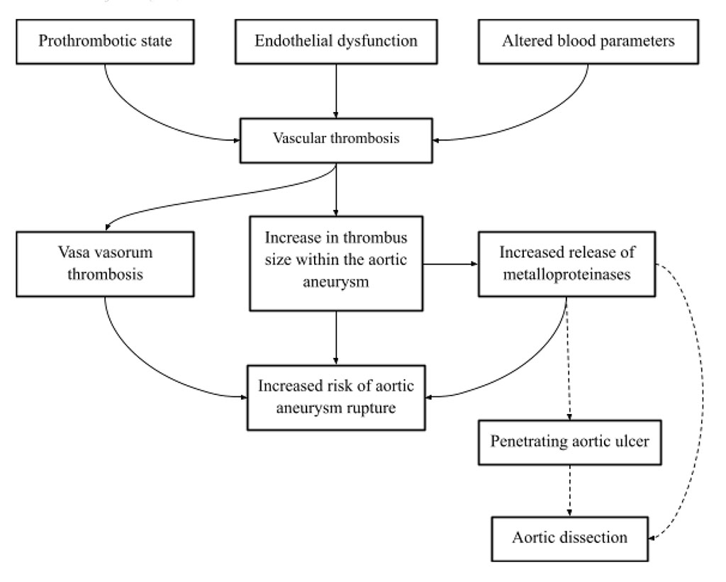 Figure 2. Possible sequence of changes leading to vascular thrombosis and worsening of aortic aneurysms [40]. 