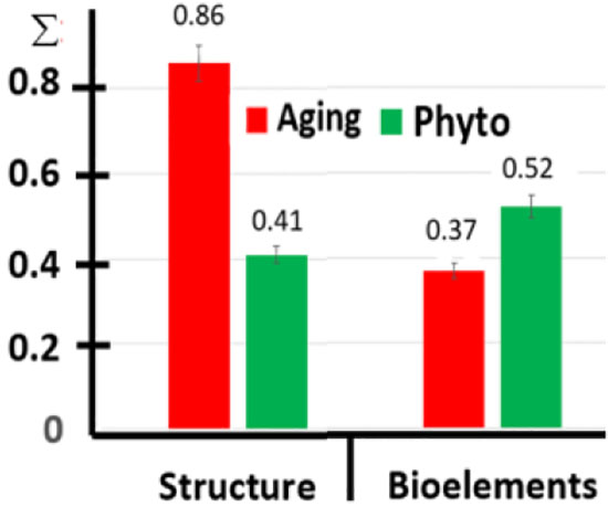 Fig 3. Total growth coefficient of the inguinal lymph node. Evaluation of the intensity of changes in the functional system, including the structure and trace elements of the lymph node in aging and after phytocorrection