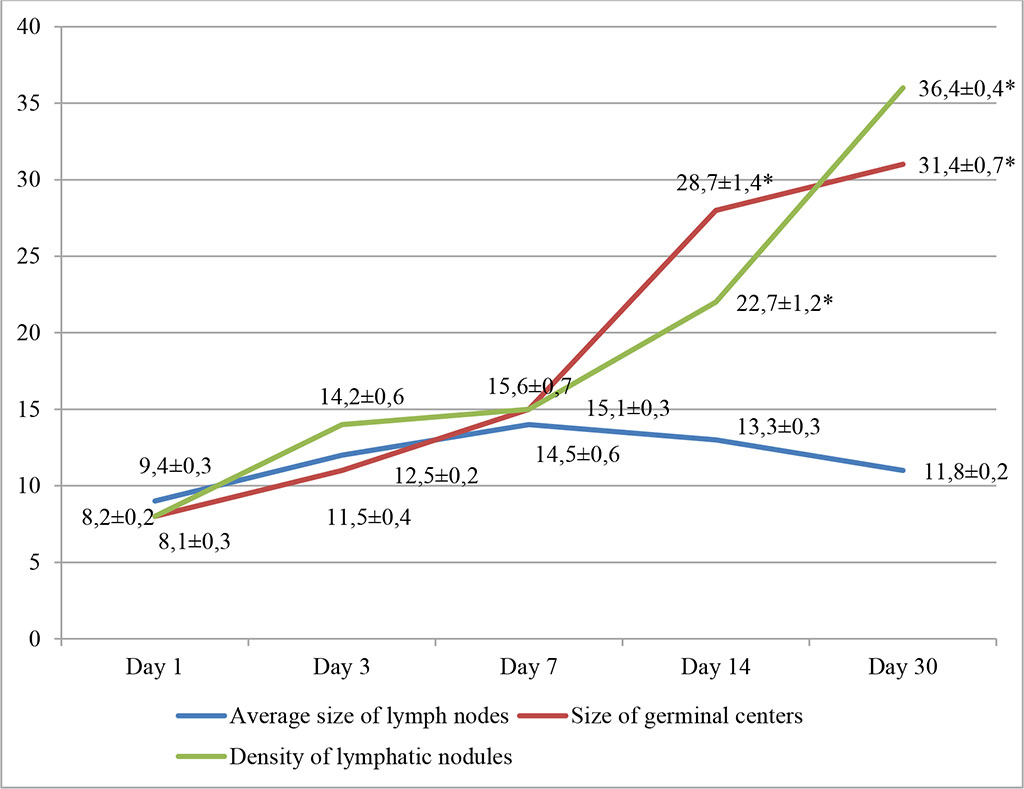 Fig. 4. Dynamics of morphofunctional changes in lymph nodes during lymphotropic administration of ADPS at different observation dates (%); * - differences are statistically significant at p<0.05