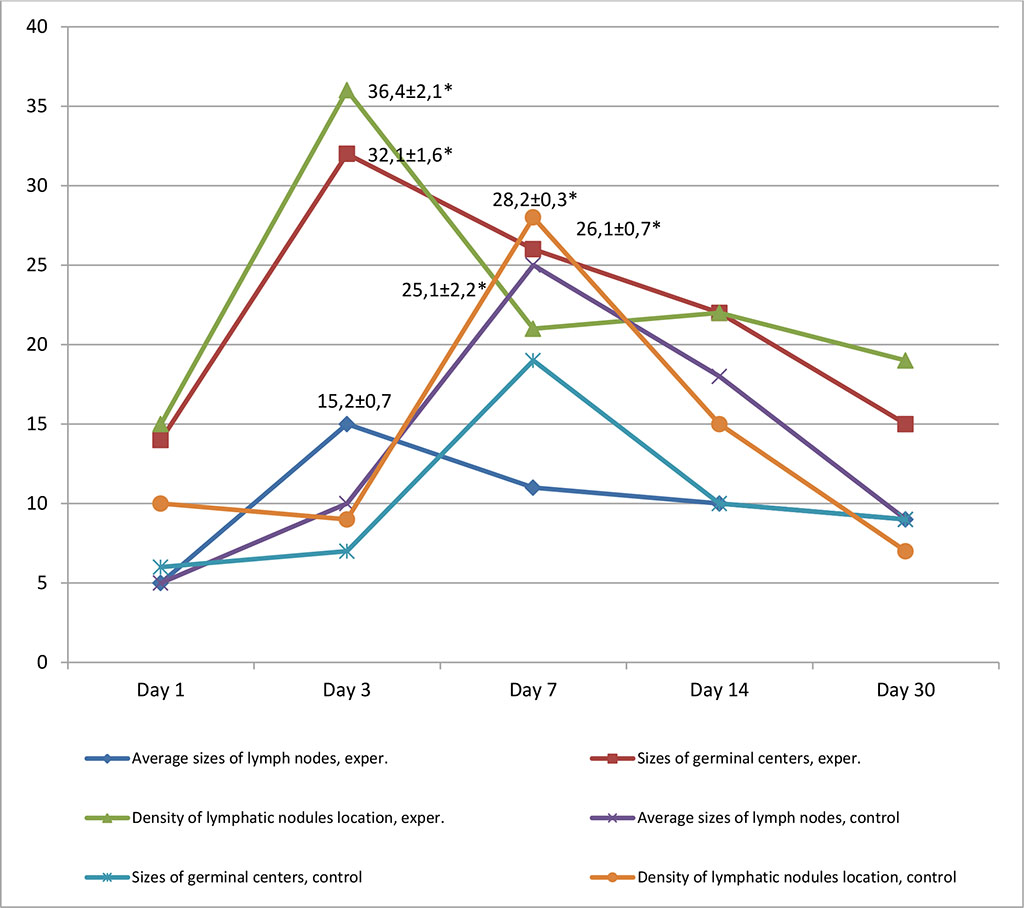 Figure 9. Dynamics of morphofunctional changes in lymph nodes with inralymphatic and intramuscular administration of APG at different observation dates (%); * - differences statistically significant at p <0.05