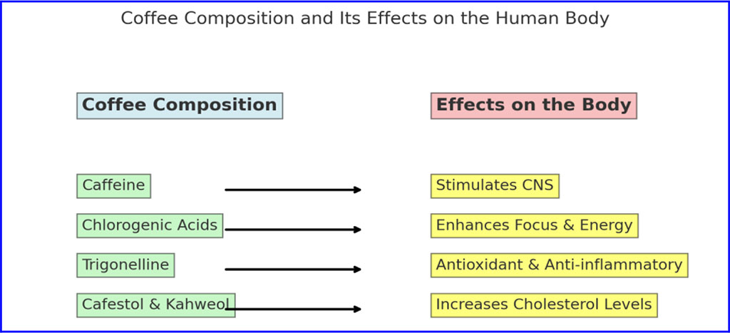 Fig. 2. Coffee Composition and its Effect on the Human Body