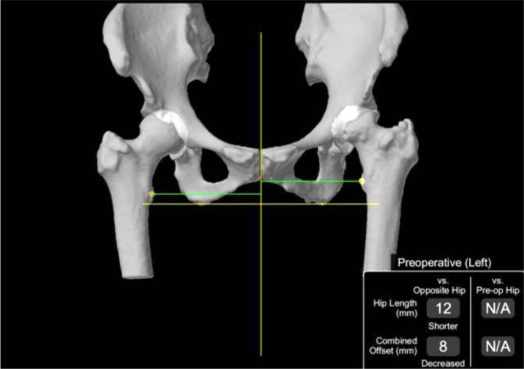 Fig 6. Three-dimensional reconstruction of anatomical structures [49].