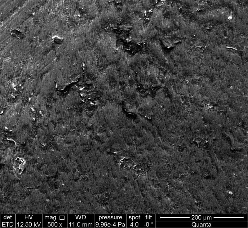 Fig. 6. The presence of a smear layer in the dentinal tubules. Electronic micrograph (×500).
