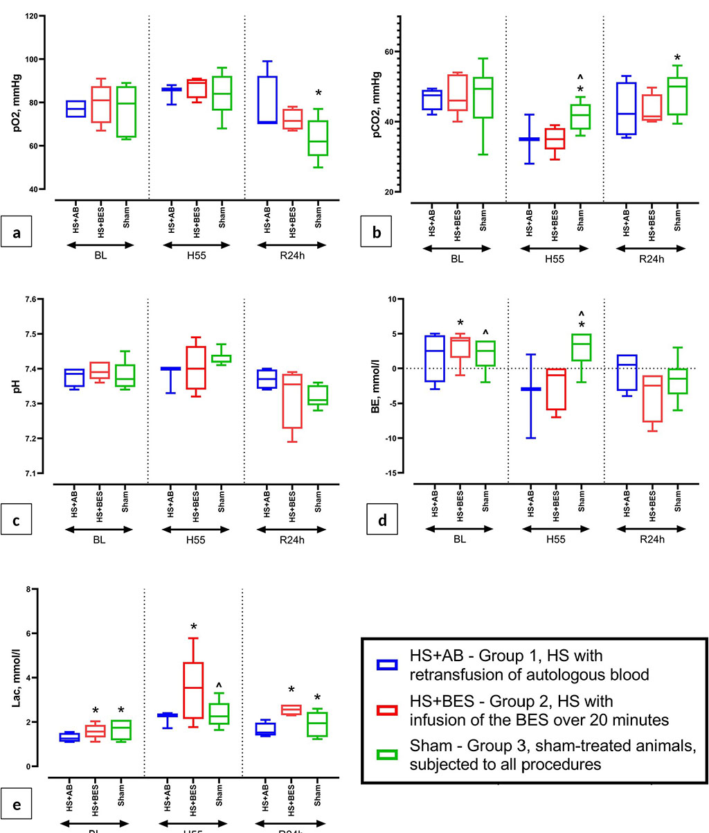 Figure 2 (a, b, c, d, e) Dynamics of arterial blood gases and ABS (pO2, pCO2, pH, BE, lactate) at baseline (BL), 55 minutes after blood loss (H55) and 24 hours after HS and reperfusion (R24h). 