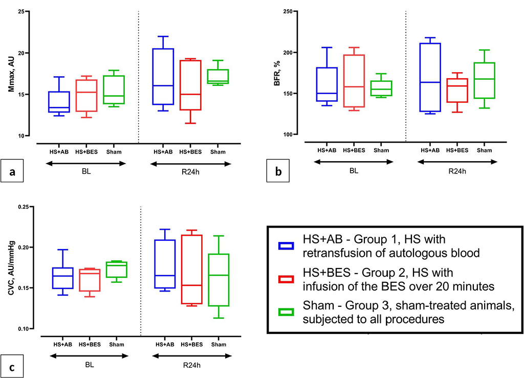 Figure 3 (a, b, c) Indicators of an occlusive test (PORH) on the rat tail: maximum blood flow after removal of occlusion (Mmax, AU), blood flow reserve (BFR, %) and the index of cutaneous vascular conductance (CVC) at baseline (BL) and 24 hours after HS and reperfusion (R24h).