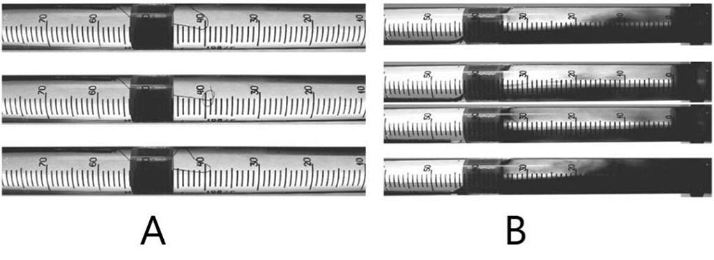 Figure 2. Turbulent liquid flow behind the diaphragm in the 1st post-extrasystolic wave imitation (A - indicator – silk thread, B - indicator – ink).
