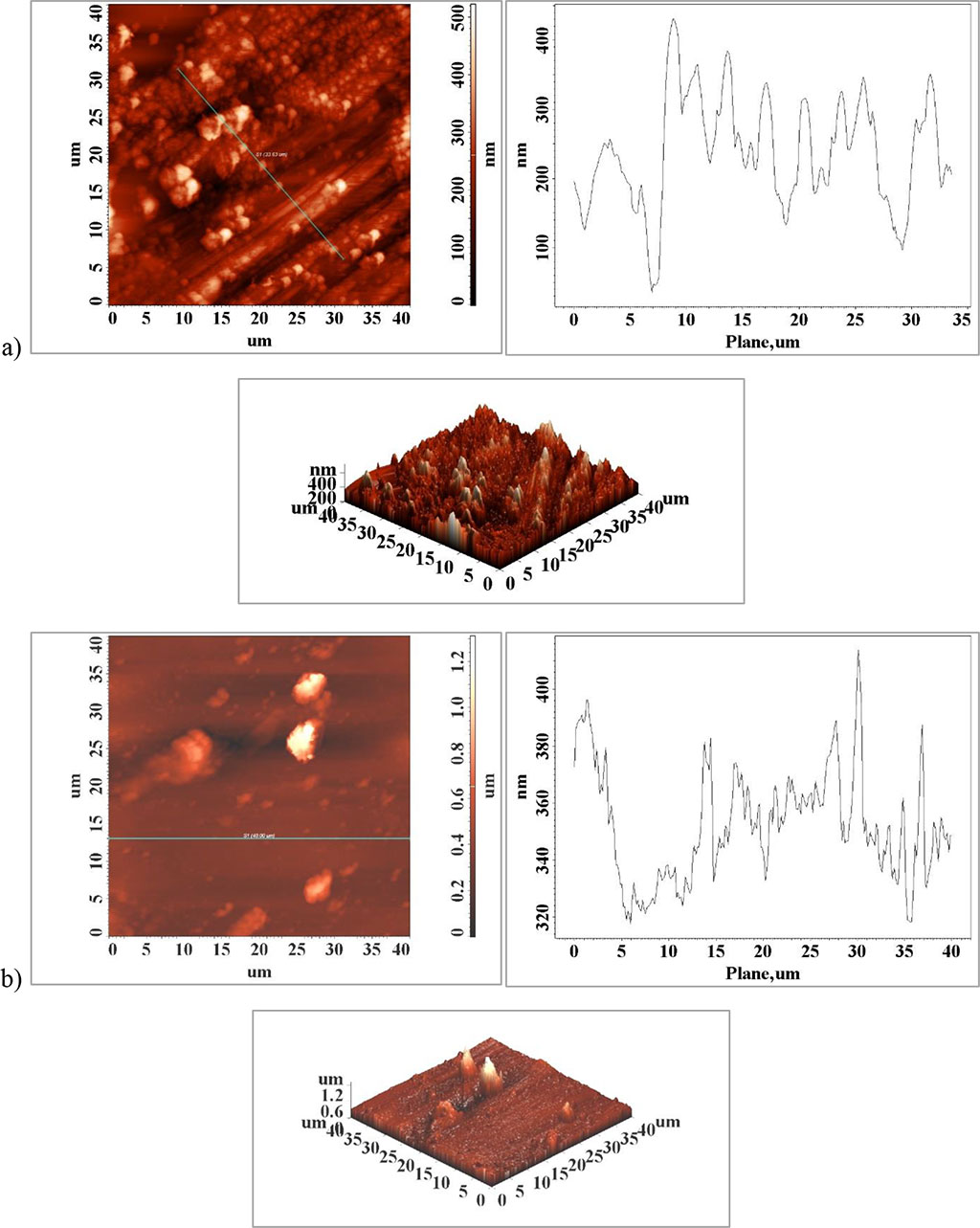 Figure 3. Surface atomic force microscopy (AFM) images of the surface of the clasps element a) unaffected area and b) fractured area