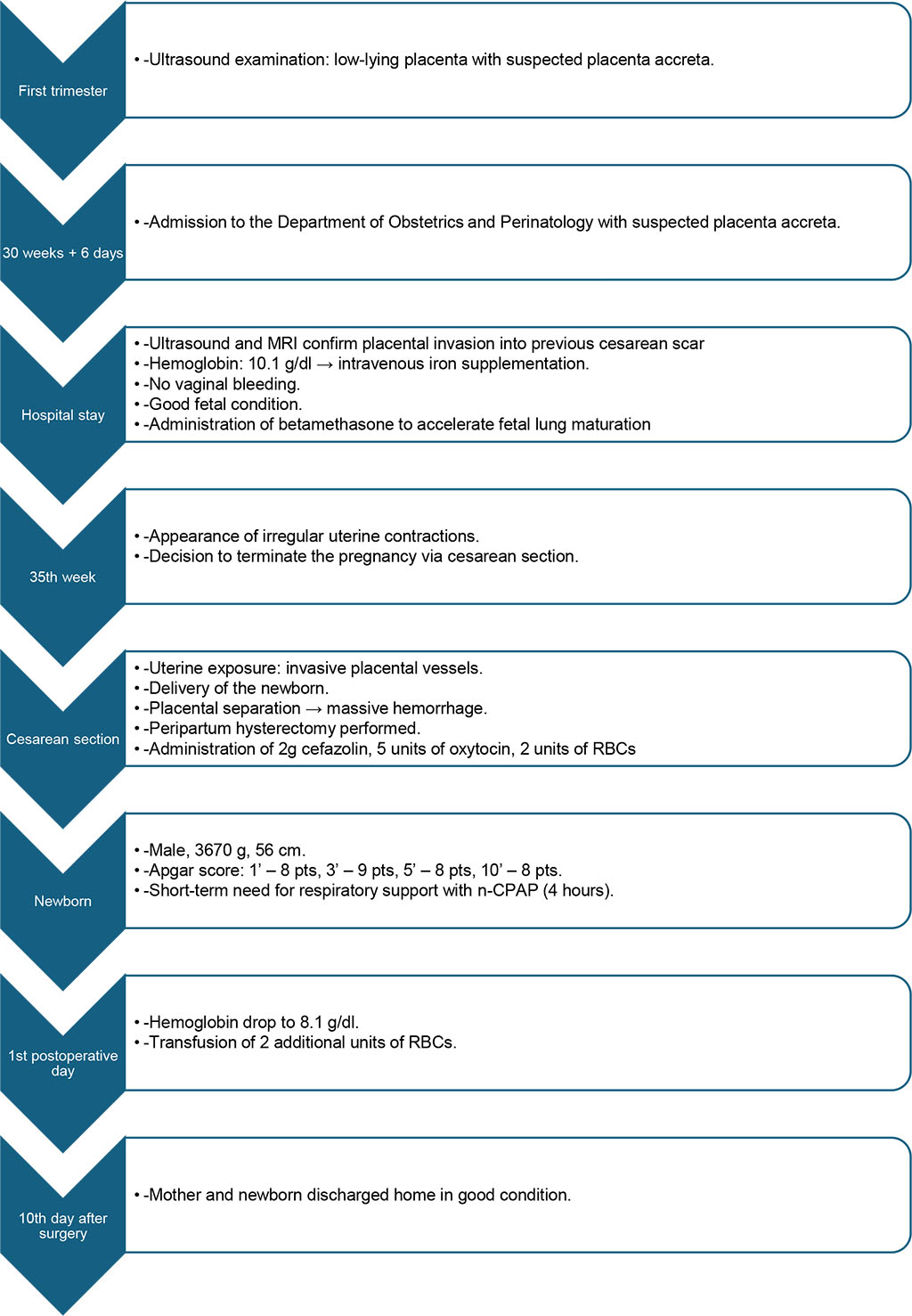 Figure 1. The case report timeline.