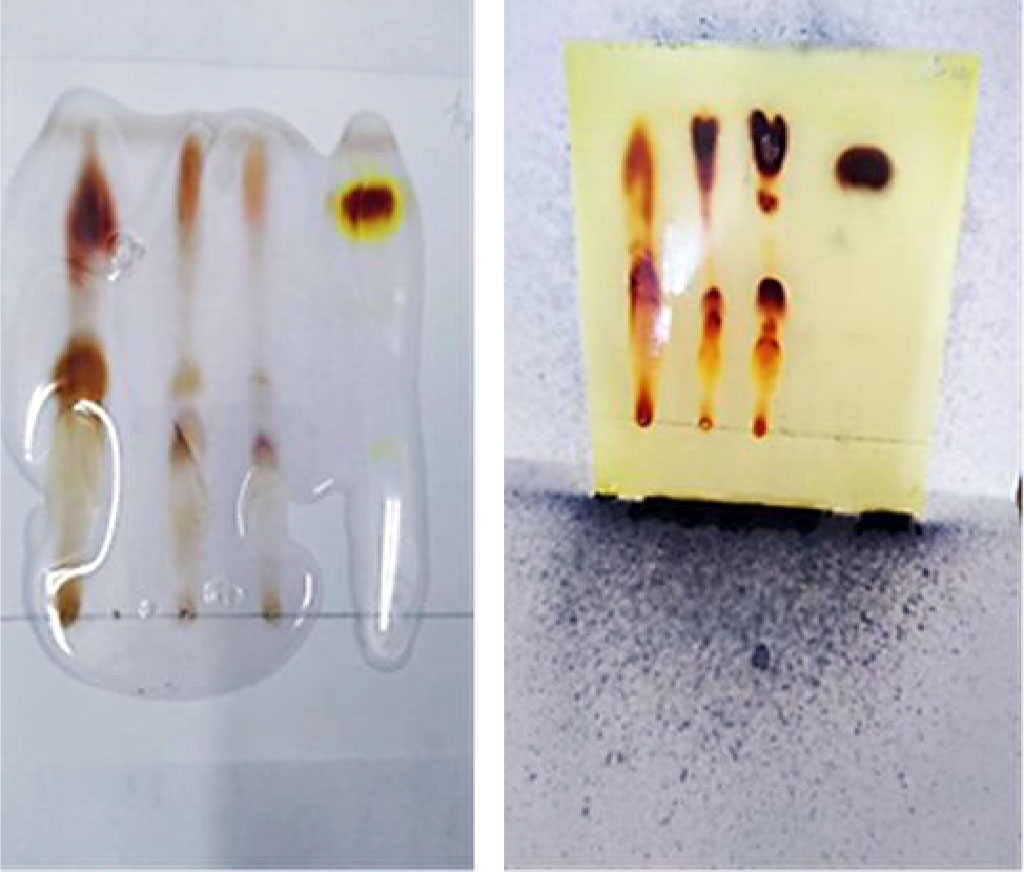 Figure 1. Thin-layer chromatography after treatment with Marquis agent, Dragendorff's agent modified by Munier and iron chloride (III).