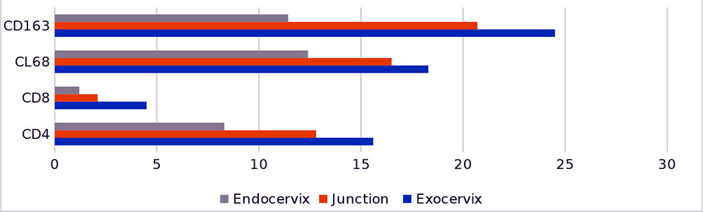 Fig.3 - Dynamics of the distribution of CD-positive cells in the mucous membrane of the cervix