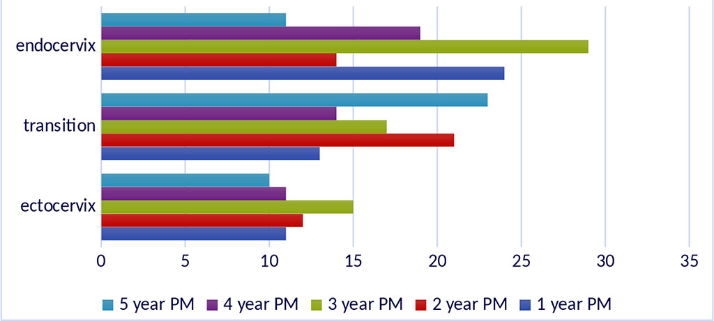 Figure 2. Quantitative characterization of progesterone-positive cells in the norm in the cervix mucous membrane in postmenopausal women. 