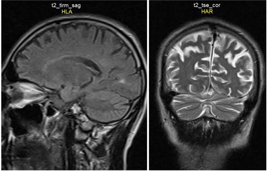 Fig. 1-2. See explanations in the text.