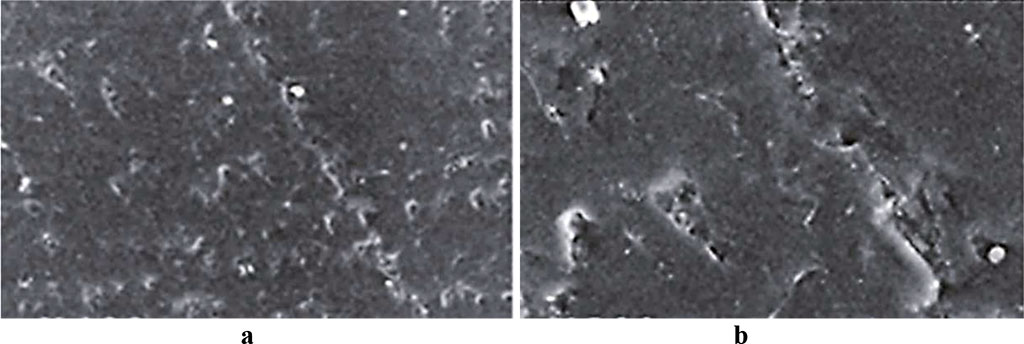 Fig. 3. Acry-free® thermoplastic sample surface, control group, 30 days into the experiment (a – magnitude ×200; b – magnitude ×500).