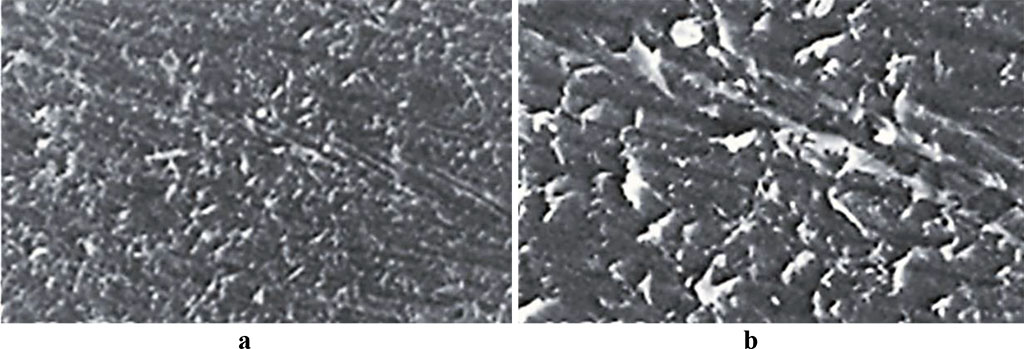 Fig. 4. Acry-free® thermoplastic sample surface, comparison group, 30 days into the experiment (a – magnitude ×200; b – magnitude ×500).