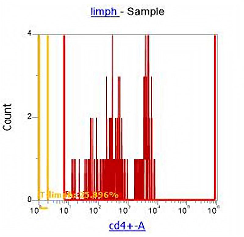 Figure 4. Division of the cell population of lymphocytes into subpopulations: T-Helper (CD4+) and other lymphocytes (CD4-)